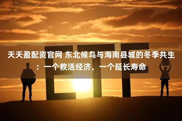 天天盈配资官网 东北候鸟与海南县城的冬季共生：一个救活经济，一个延长寿命