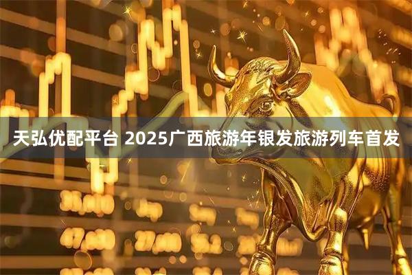 天弘优配平台 2025广西旅游年银发旅游列车首发