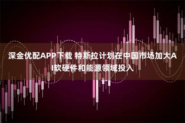 深金优配APP下载 特斯拉计划在中国市场加大AI软硬件和能源领域投入