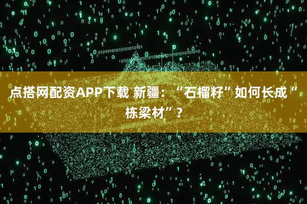 点搭网配资APP下载 新疆：“石榴籽”如何长成“栋梁材”？